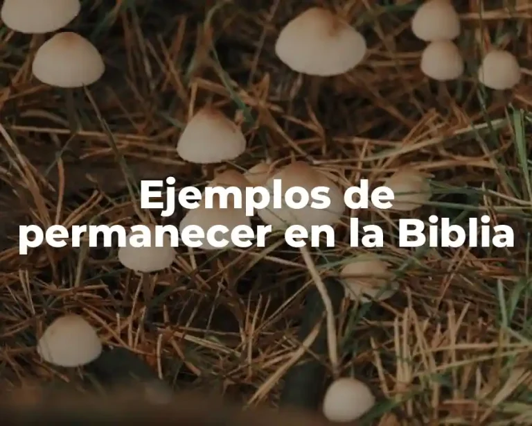 Ejemplos de permanecer en la Biblia