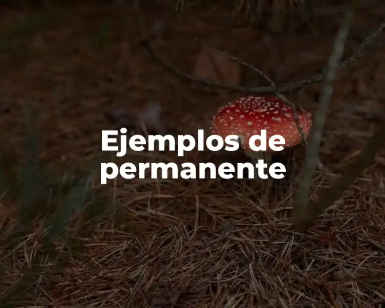 Ejemplos de permanente