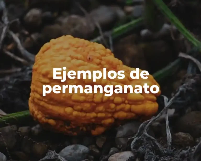 Ejemplos de permanganato