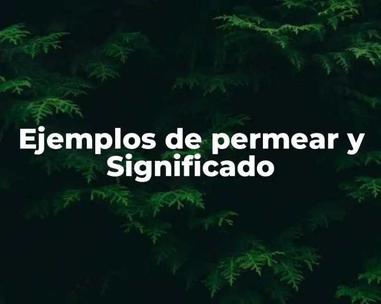 Ejemplos de permear y Significado