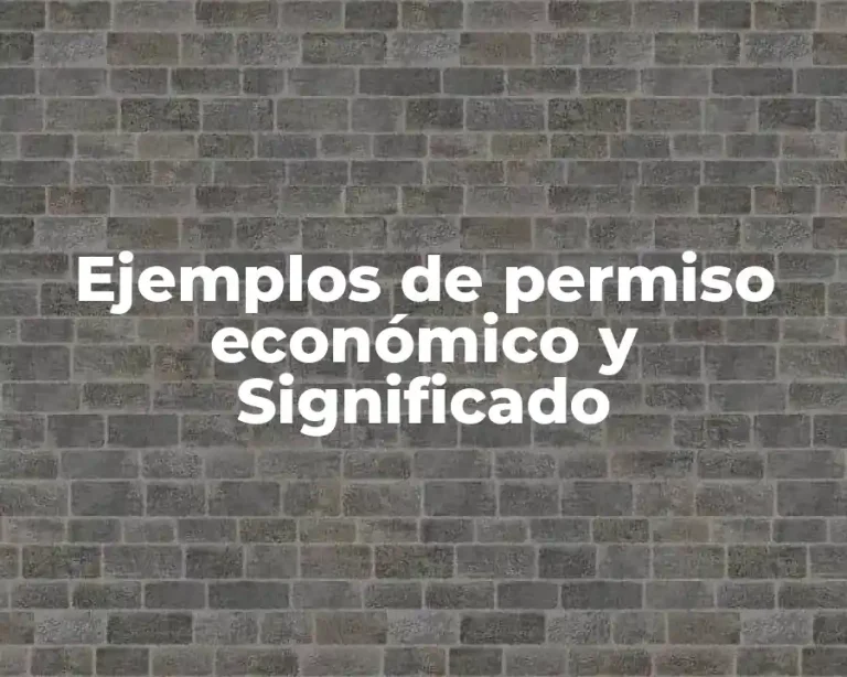 Ejemplos de permiso económico y Significado