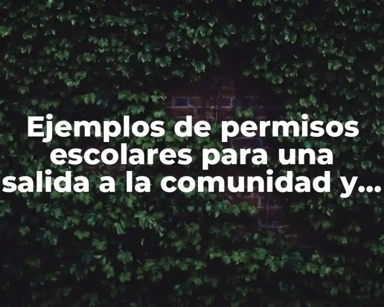 Ejemplos de permisos escolares para una salida a la comunidad y Significado