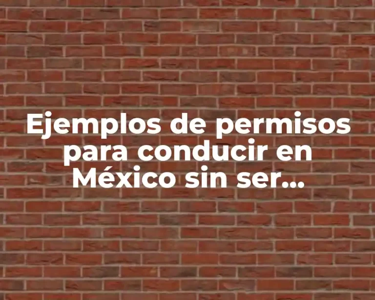 Ejemplos de permisos para conducir en México sin ser residentes