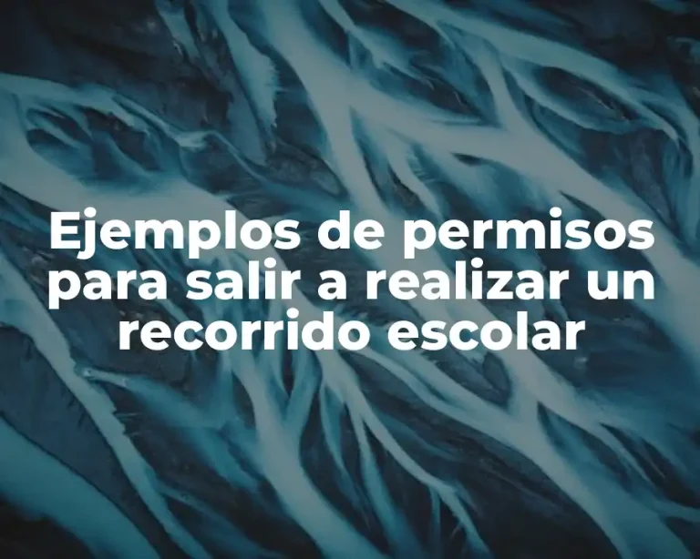Ejemplos de permisos para salir a realizar un recorrido escolar