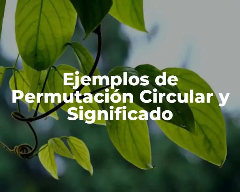 Ejemplos de Permutación Circular y Significado
