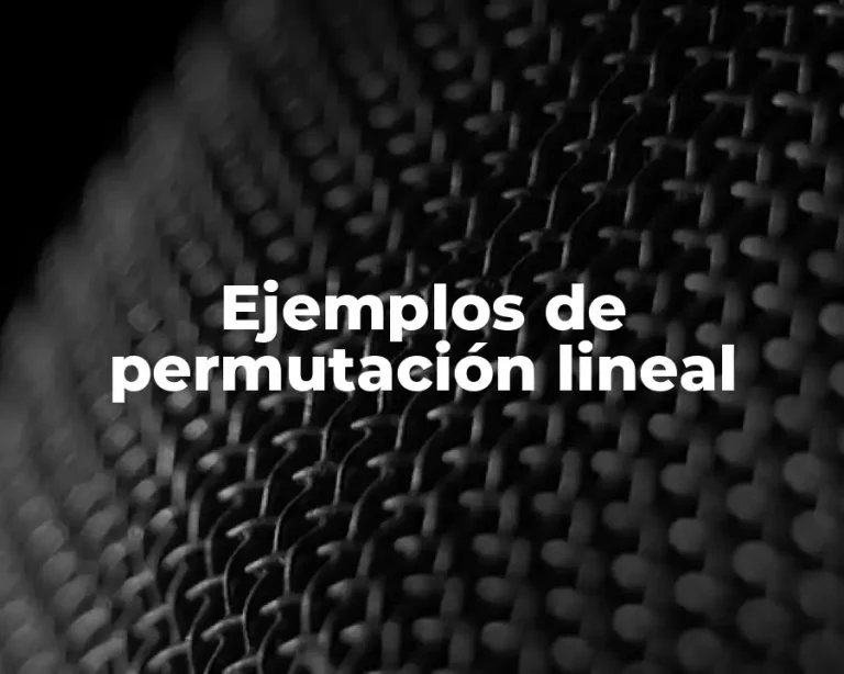 Ejemplos de permutación lineal