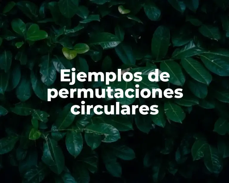 Ejemplos de permutaciones circulares