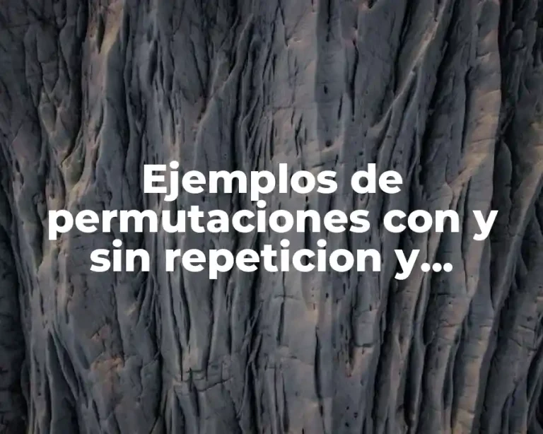 Ejemplos de permutaciones con y sin repeticion y Significado
