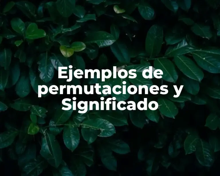 Ejemplos de permutaciones y Significado