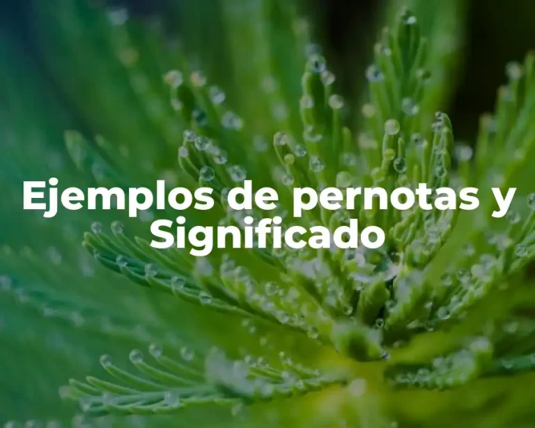 Ejemplos de pernotas y Significado