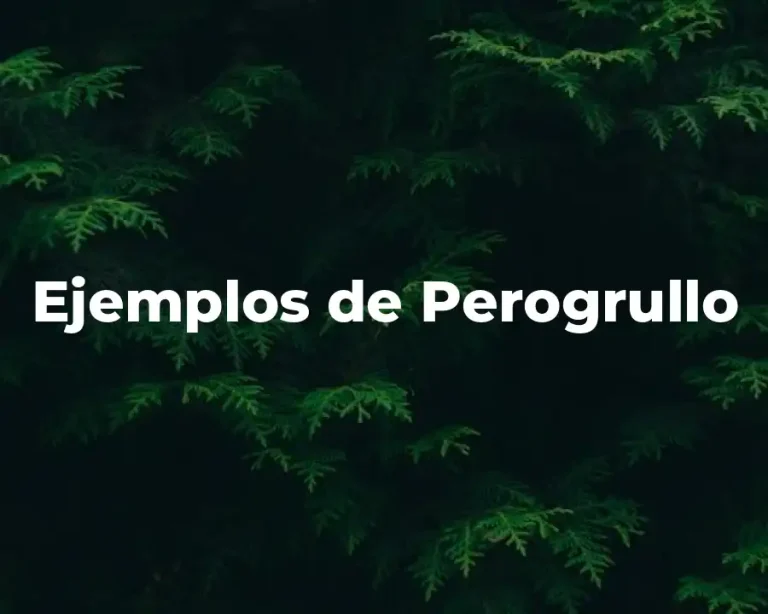 Ejemplos de Perogrullo