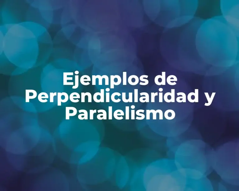 Ejemplos de Perpendicularidad y Paralelismo