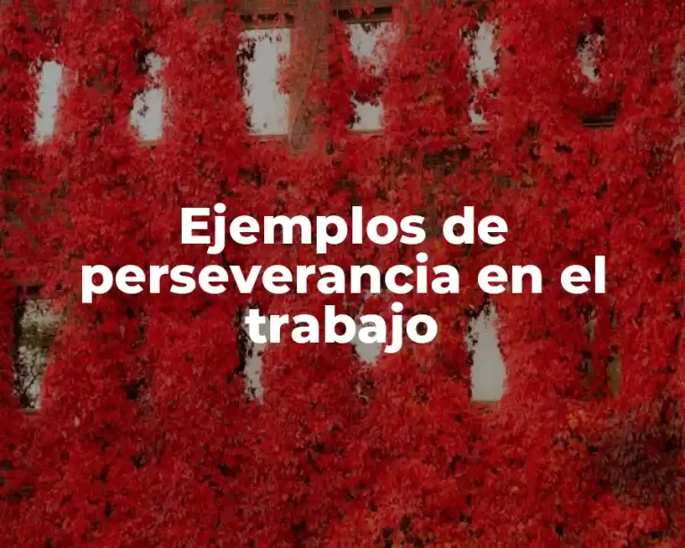 Ejemplos de perseverancia en el trabajo