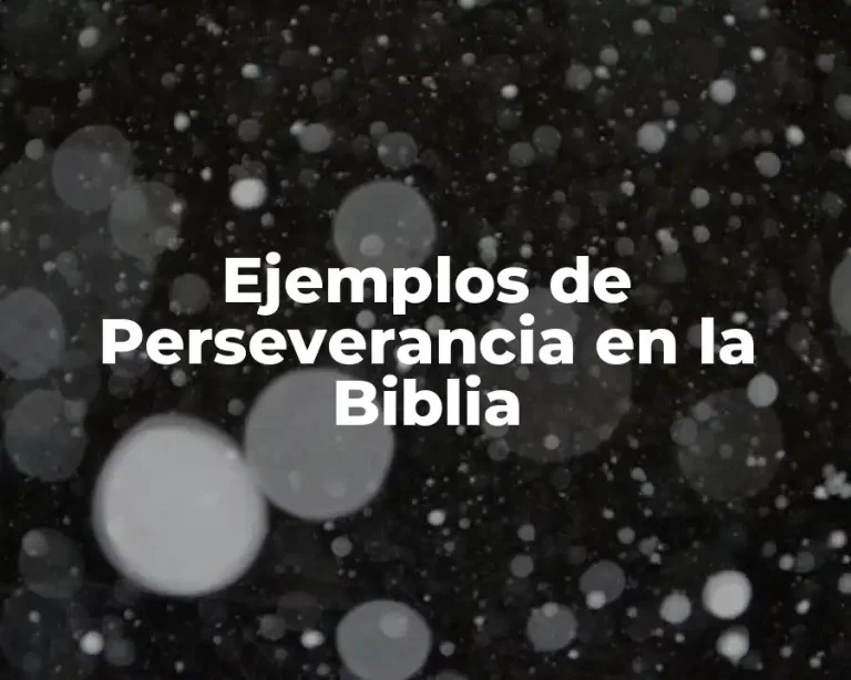Ejemplos de Perseverancia en la Biblia