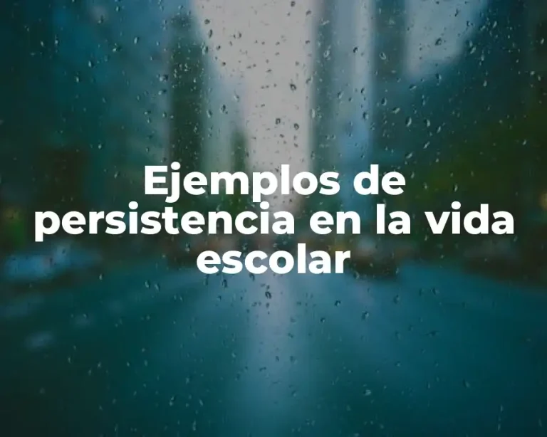 Ejemplos de persistencia en la vida escolar