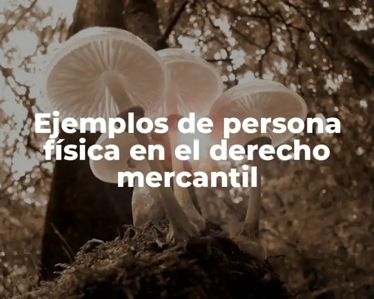 Ejemplos de persona física en el derecho mercantil