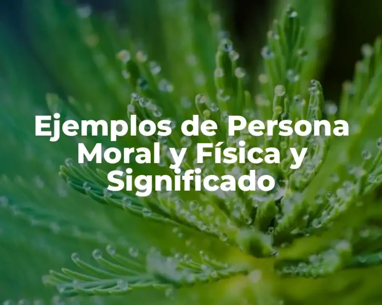 Ejemplos de Persona Moral y Física y Significado