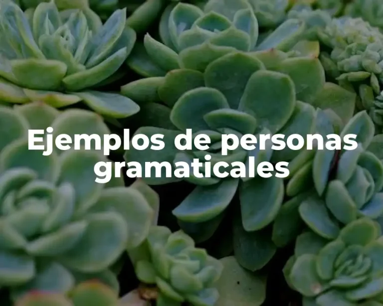 Ejemplos de personas gramaticales