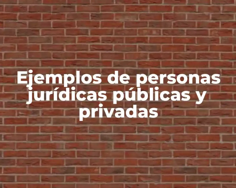 Ejemplos de personas jurídicas públicas y privadas