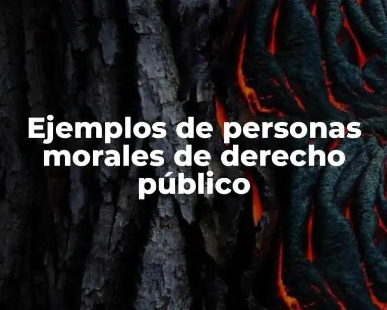 Ejemplos de personas morales de derecho público