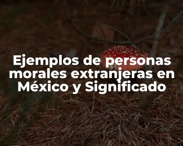 Ejemplos de personas morales extranjeras en México y Significado