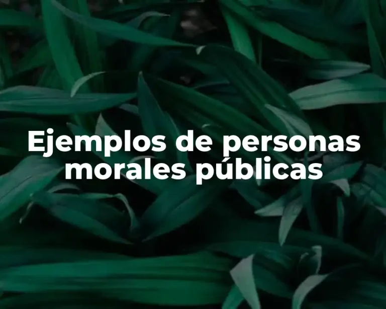 Ejemplos de personas morales públicas
