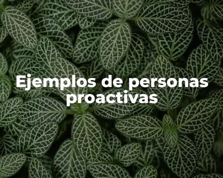 Ejemplos de personas proactivas