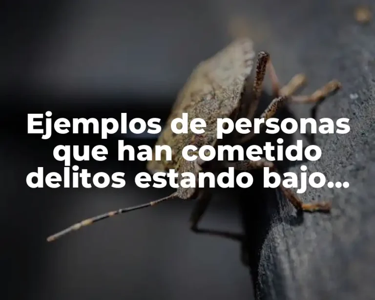 Ejemplos de personas que han cometido delitos estando bajo fianza