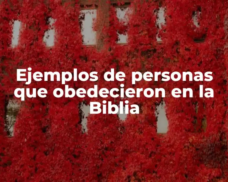 Ejemplos de personas que obedecieron en la Biblia