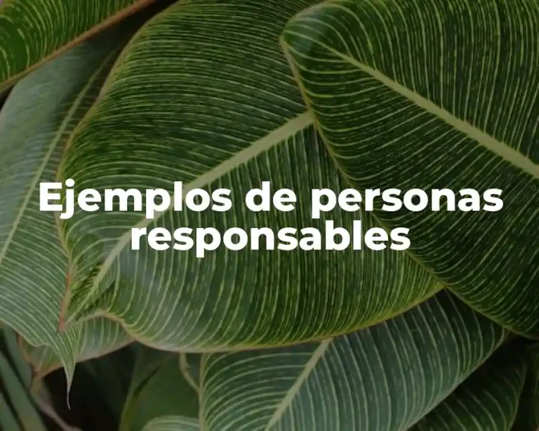 Ejemplos de personas responsables