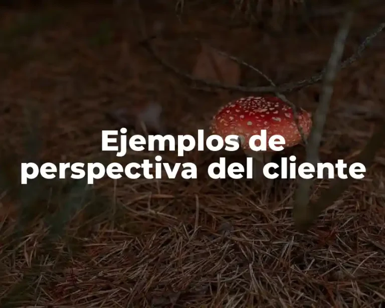 Ejemplos de perspectiva del cliente