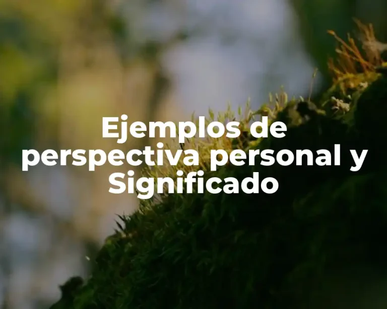 Ejemplos de perspectiva personal y Significado
