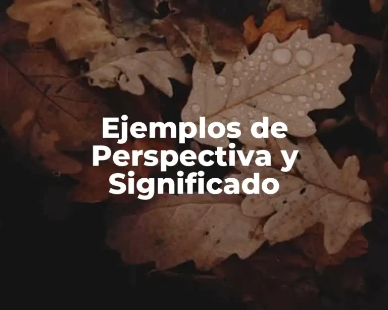 Ejemplos de Perspectiva y Significado