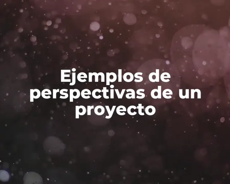 Ejemplos de perspectivas de un proyecto
