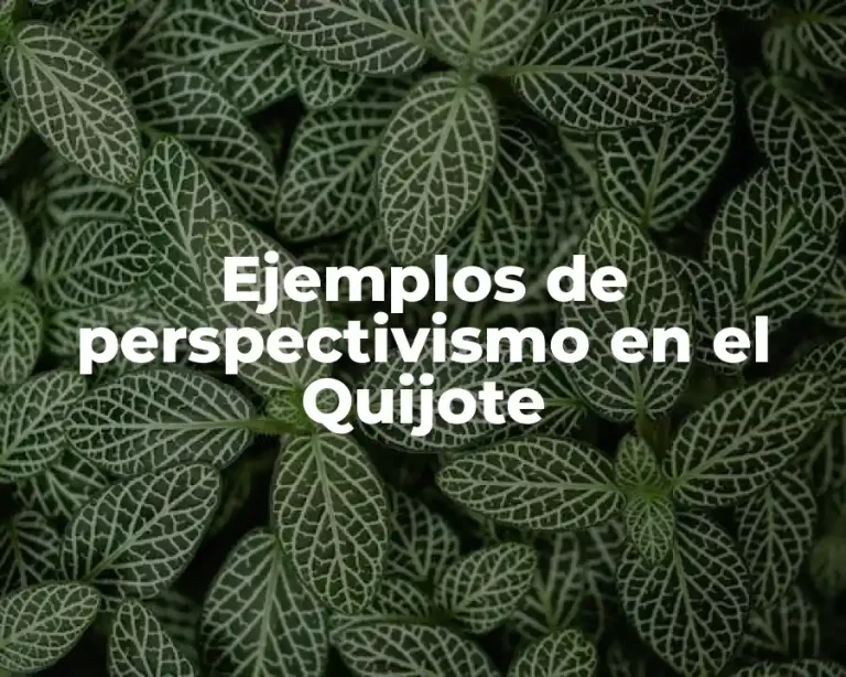 Ejemplos de perspectivismo en el Quijote