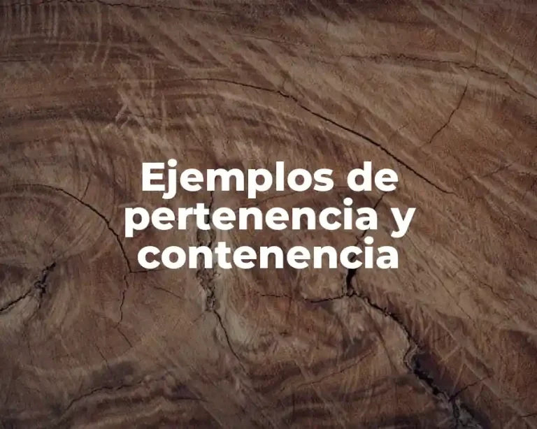 Ejemplos de pertenencia y contenencia