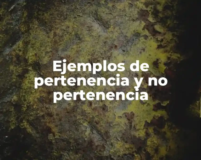 Ejemplos de pertenencia y no pertenencia