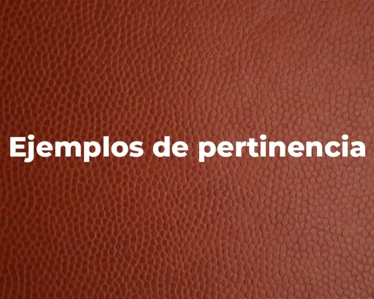 Ejemplos de pertinencia