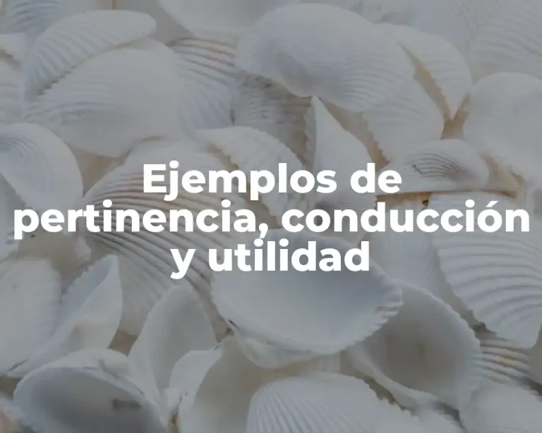 Ejemplos de pertinencia, conducción y utilidad