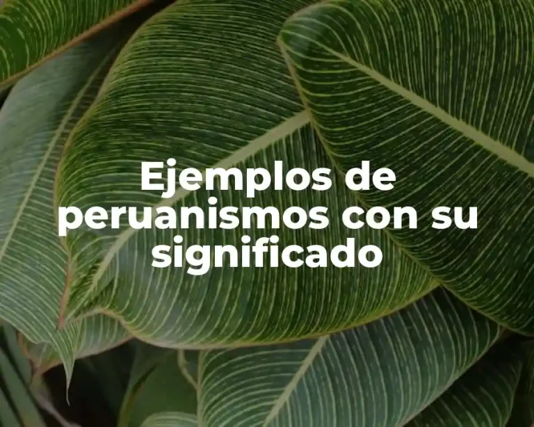 Ejemplos de peruanismos con su significado