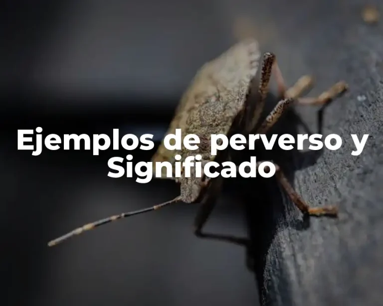 Ejemplos de perverso y Significado