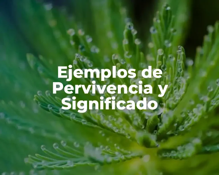 Ejemplos de Pervivencia y Significado