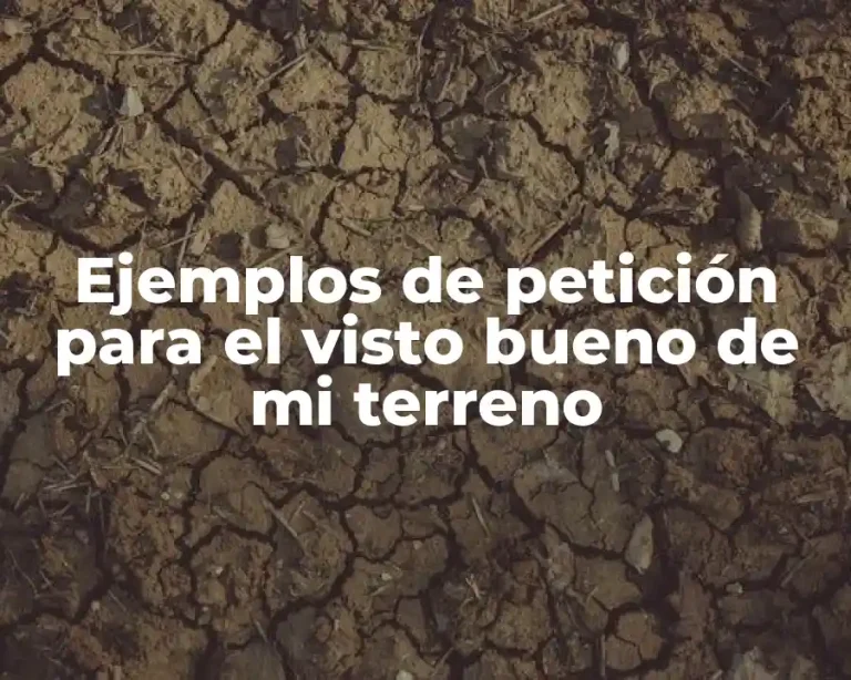 Ejemplos de petición para el visto bueno de mi terreno
