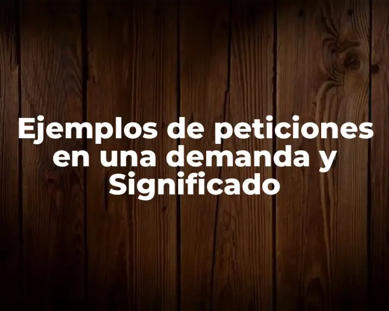 Ejemplos de peticiones en una demanda y Significado