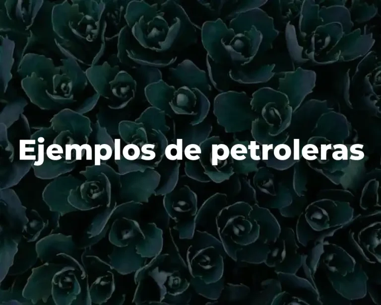 Ejemplos de petroleras