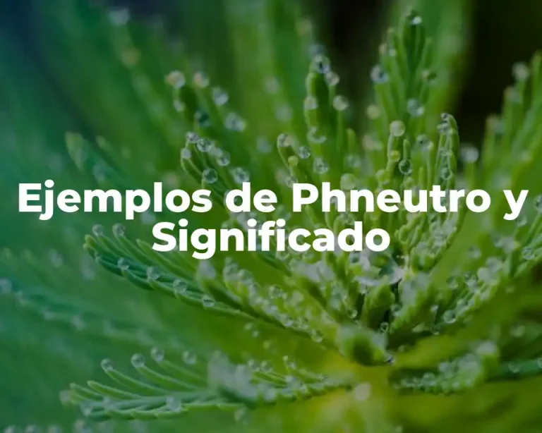 Ejemplos de Phneutro y Significado