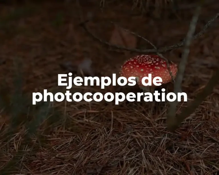 Ejemplos de photocooperation
