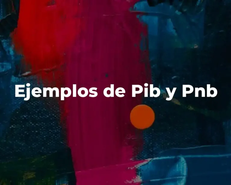 Ejemplos de Pib y Pnb