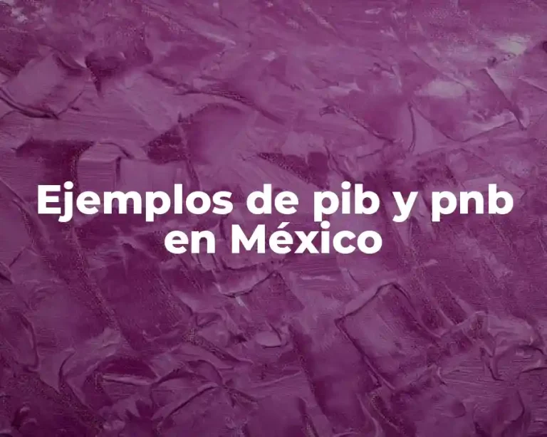 Ejemplos de pib y pnb en México