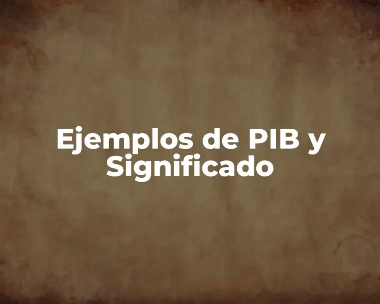 Ejemplos de PIB y Significado
